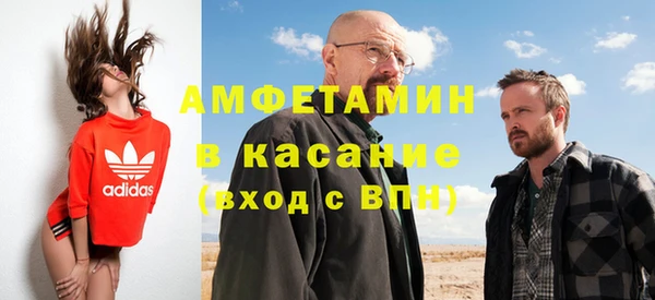 шишки Кодинск