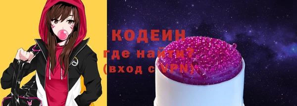 шишки Кодинск