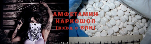 шишки Кодинск