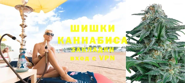 шишки Кодинск