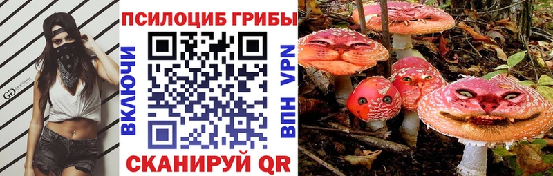 Галлюциногенные грибы Psilocybe  mega зеркало  Липецк  купить закладку 