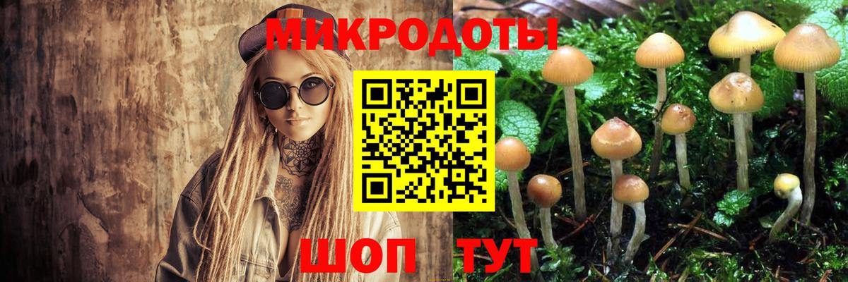 Псилоцибиновые грибы GOLDEN TEACHER  Псилоцибиновые грибы GOLDEN TEACHER  Вход с VPN  Липецк 