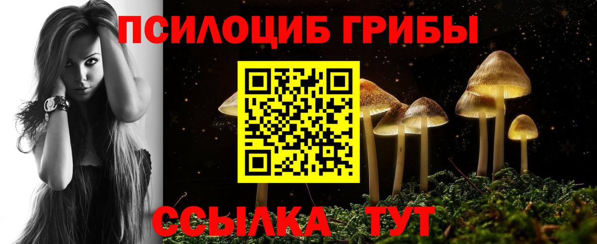 Галлюциногенные грибы Psilocybine cubensis Липецк
